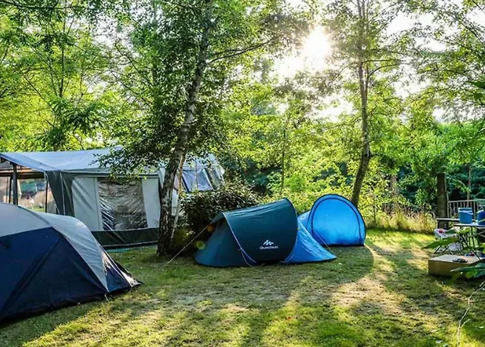 Campeggio Mobil-home Confortable - 6 Pers. - Api-1-52-1986 Mauléon-Licharre